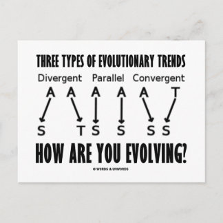 Postal Tres Tipos De Tendencias Evolutivas (Evolución)