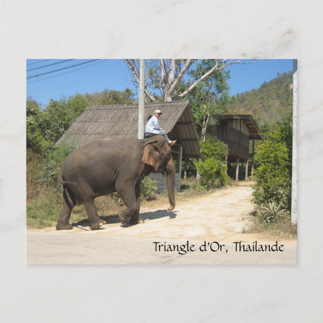 Postal Triángulo de Oro, Tailandia (Anverso)