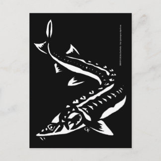 Postal Tribal1