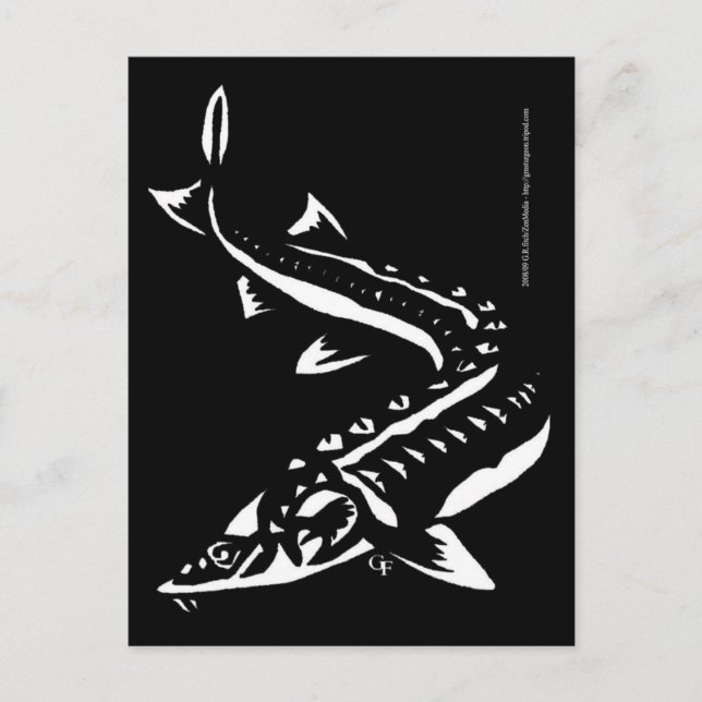 Postal Tribal1 (Anverso)