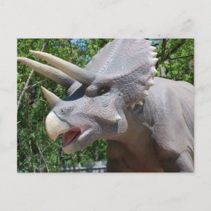 Postal Triceratops/Dinosaurios