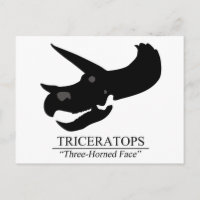 Triceratops Skull