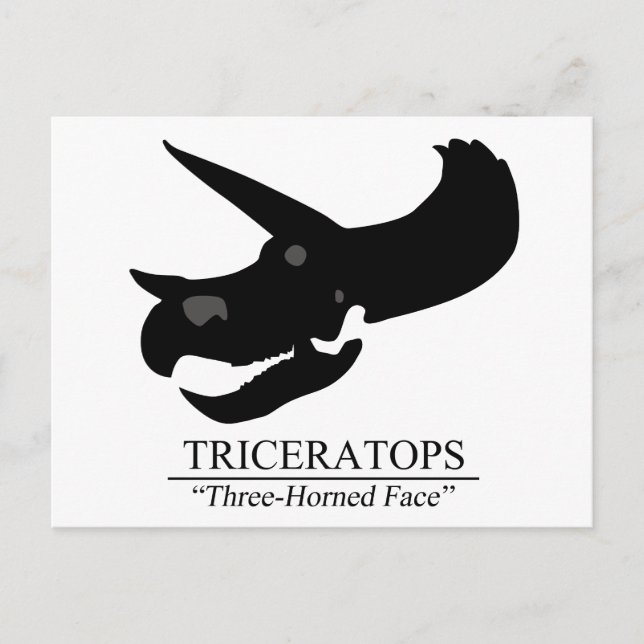 Postal Triceratops Skull (Anverso)