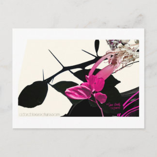 Postal Trichome Postcard