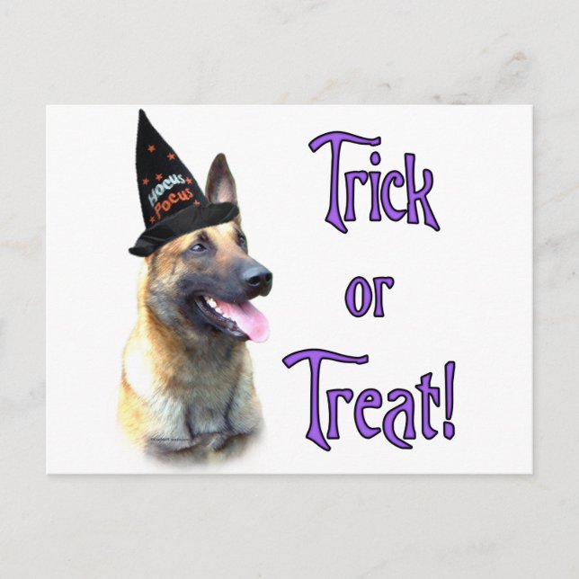 Postal Trick belga Malinois (Anverso)