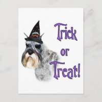 Trick de Schnauzer en miniatura