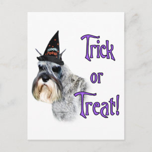 Postal Trick de Schnauzer en miniatura
