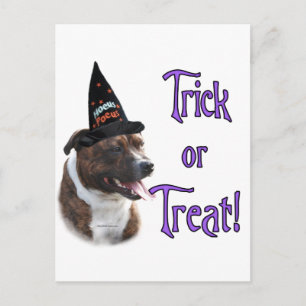 Postal Trick de Staffordshire Bull Terrier
