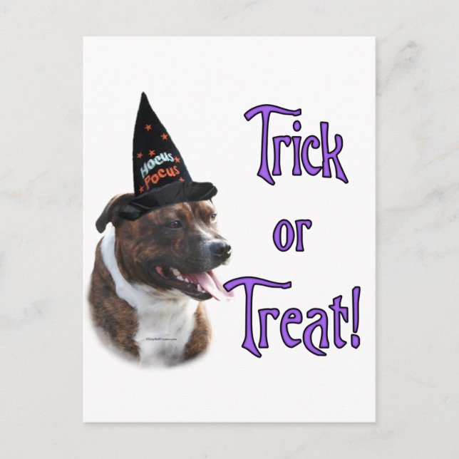 Postal Trick de Staffordshire Bull Terrier (Anverso)
