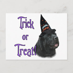 Postal Trick (negro) de Terranova