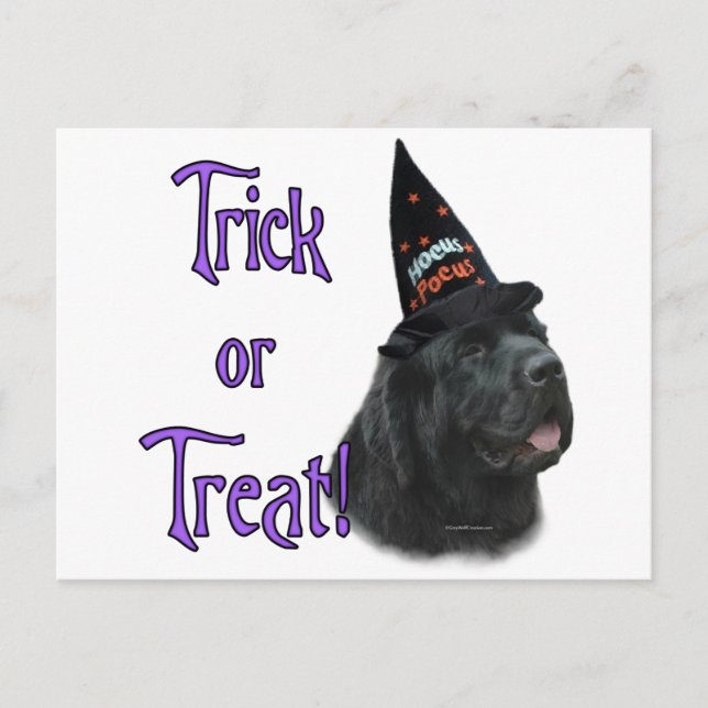 Postal Trick (negro) de Terranova (Anverso)