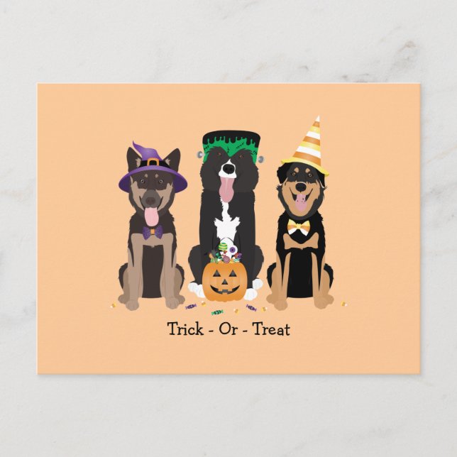 Postal Trick O Traer Perros En Vestidos De Halloween (Anverso)