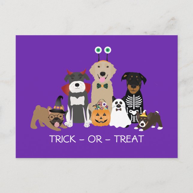 Postal Trick O Trato A Mascotas Vestidos De Halloween (Anverso)