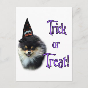 Postal Trick Pomeranian