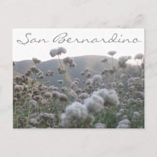 Postal Trigo negro de California