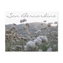 Trigo negro de California