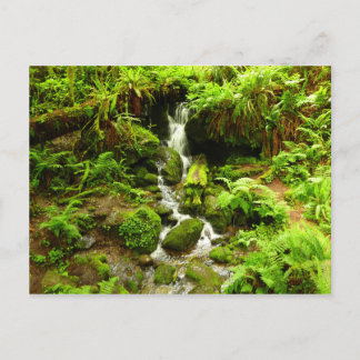 Postal Trillium Falls en el Parque Nacional Redwood