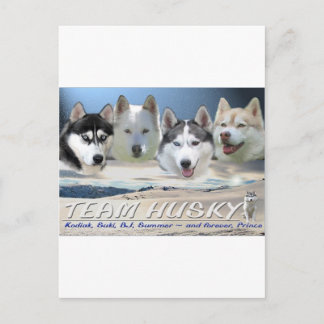Postal trineo de perros cascos