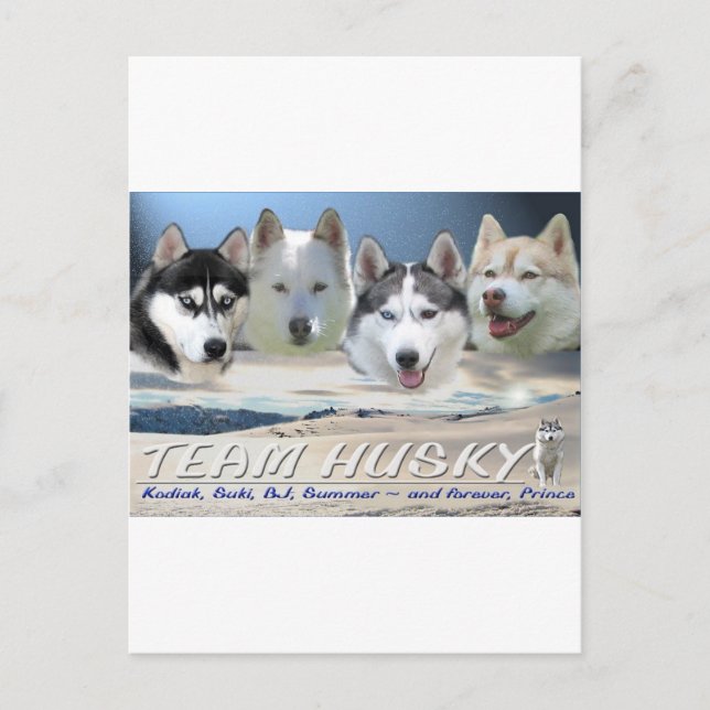 Postal trineo de perros cascos (Anverso)