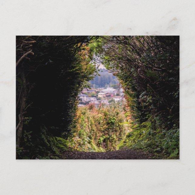 Postal Trinidad (Anverso)