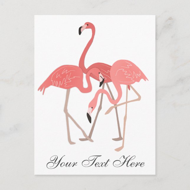 Postal Trío de Flamencos Rosas (Anverso)