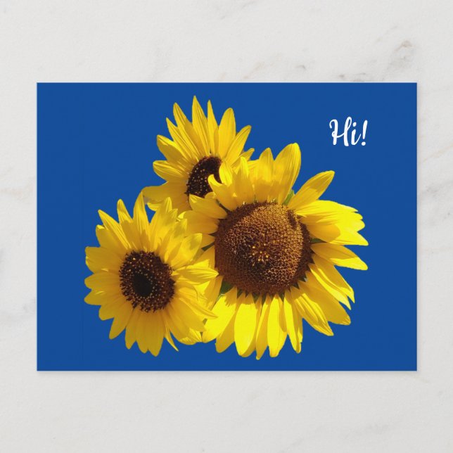 Postal Trío de girasoles recortados Foto en azul (Anverso)