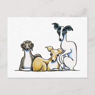 Postal Trio de Greyhound italiano