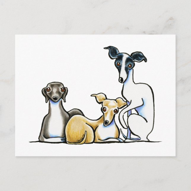 Postal Trio de Greyhound italiano (Anverso)