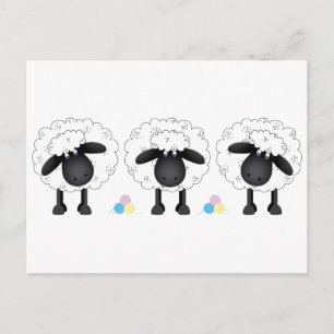Postal Trío de ovejas