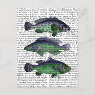 Postal Trío de peces azul y verde