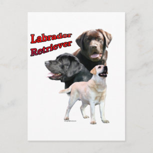 Postal Trío de recuperación de Labrador 2