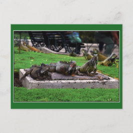 Postal Trío en el Parque de la Iguana, Guayaquil, Ecuador