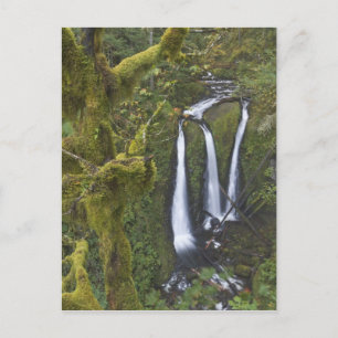 Postal Triple Falls, desfiladero del río Columbia