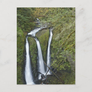 Postal Triple Falls, desfiladero del río Columbia