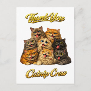 Postal Tripulación de hierba gatera Cara de gato linda to