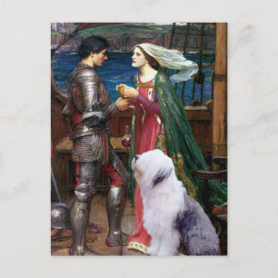 Postal Tristam e Isolda-Old English Sheepdog 1