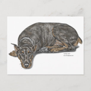 Postal Triste culpable mirando a Doberman