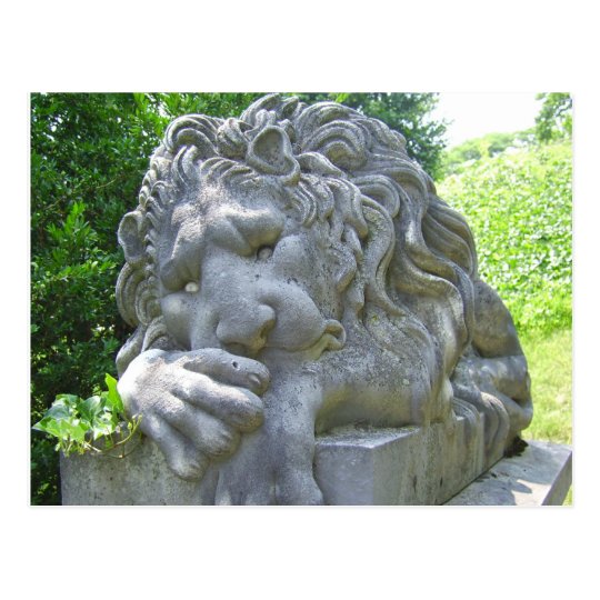 Postal triste del león