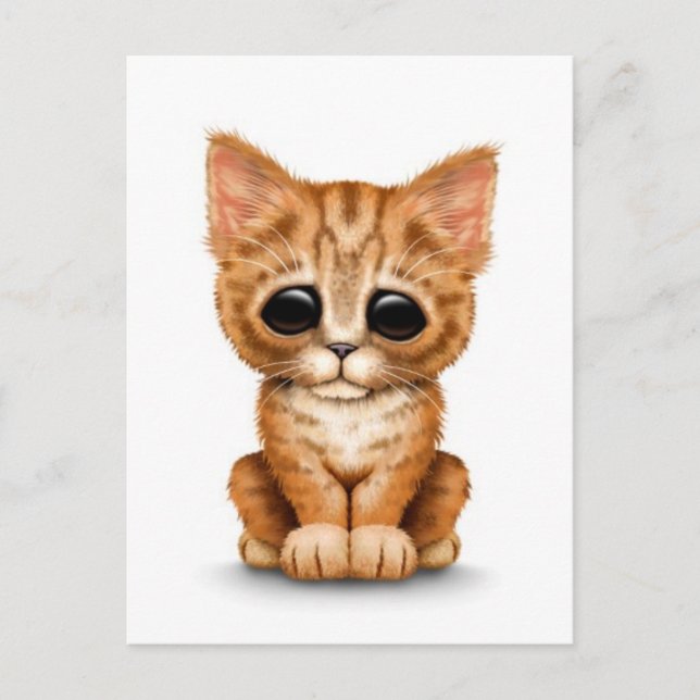 Postal Triste Naranja lindo Tabby Gato gatito en blanco (Anverso)