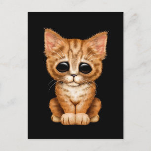 Postal Triste Naranja lindo Tabby Gato gatito negro