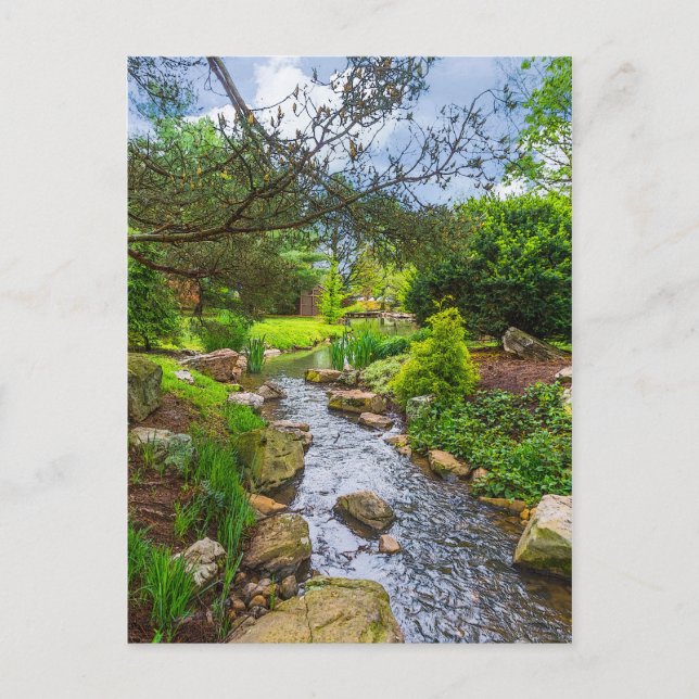 Postal Triturador de creek primavera (Anverso)