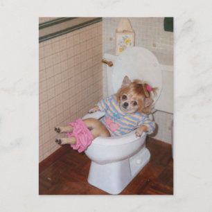 Postal Triunfo de ir al baño de la Chihuahua Retro de Hea