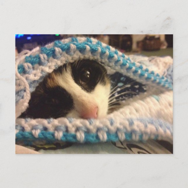 Postal Trixie y el blues (Anverso)