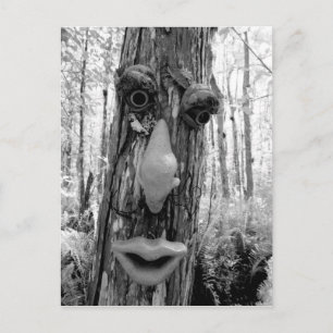 Postal Troll del árbol en un árbol Big Cypress.
