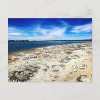 Postal Trombolitas, Lago Thetis Australia Occidental