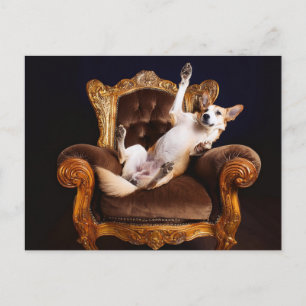 Postal Tromón de perro de AI