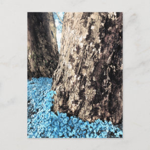 Postal troncos de árbol