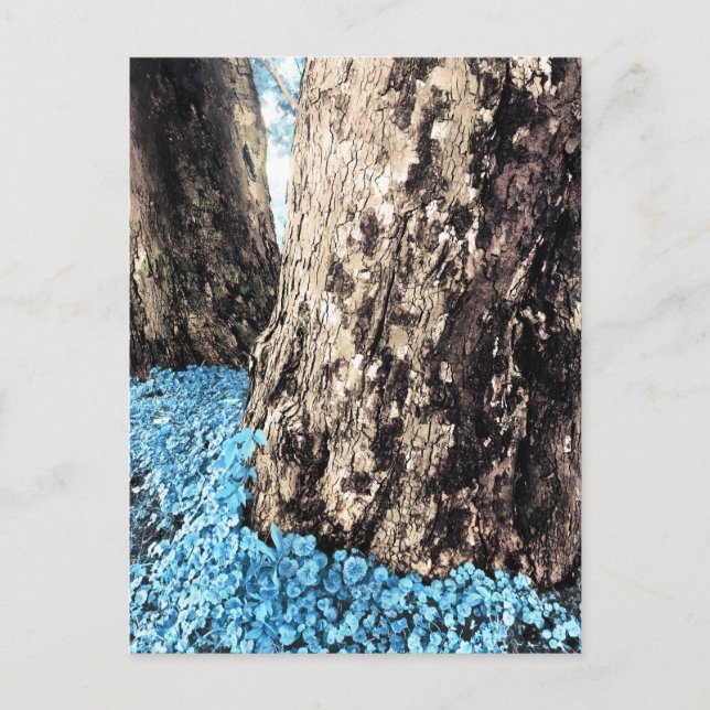 Postal troncos de árbol (Anverso)