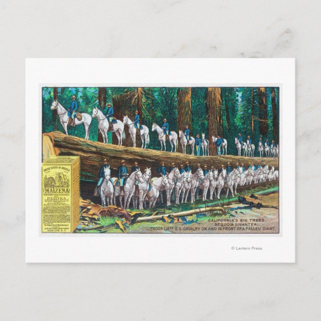 Postal Tropas yo en y frente al Gigante Caída (Anverso)