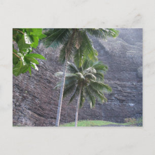 Postal Tropical